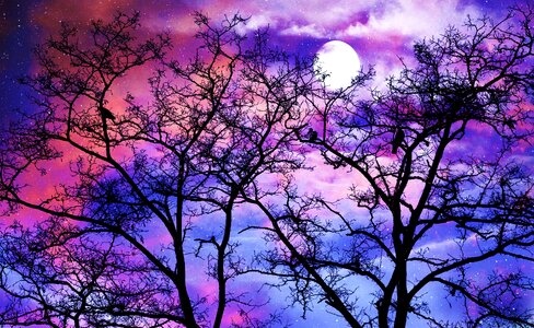 Sky clouds dreams
