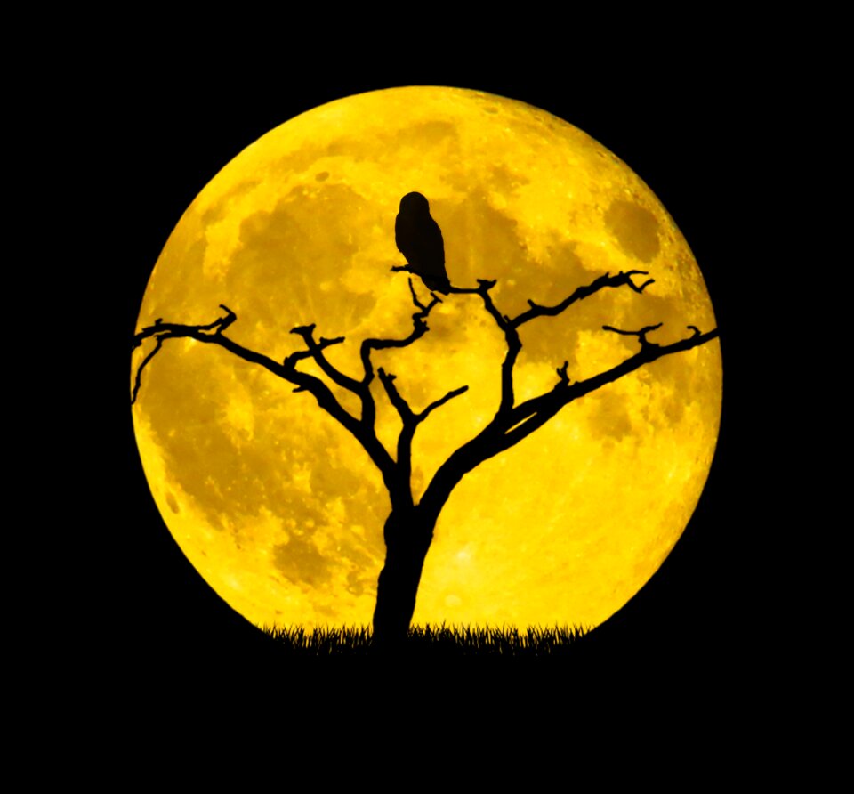 Night background full moon