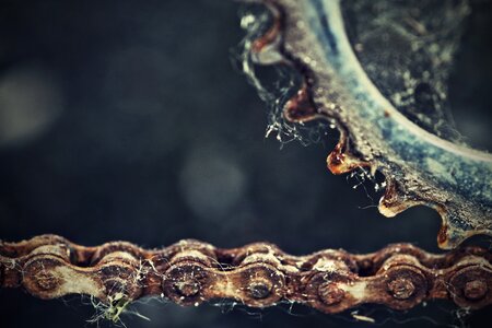 Chain web rust