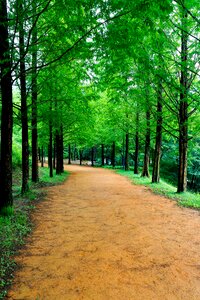 Nature scenery landscape