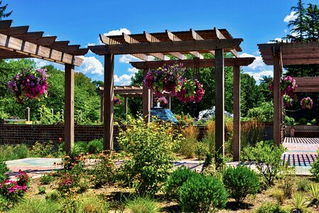 Hanging plants garden summer photo