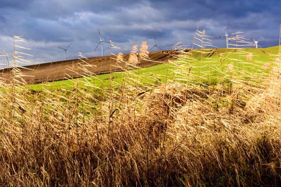 Landscape nature windräder
