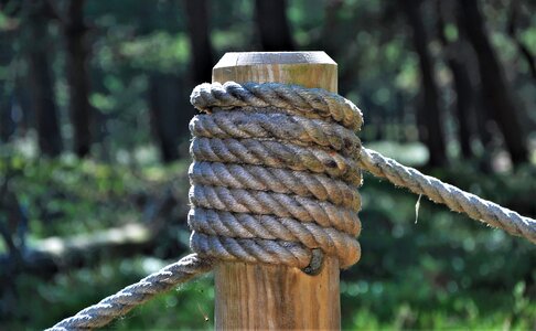 Peg rope forest