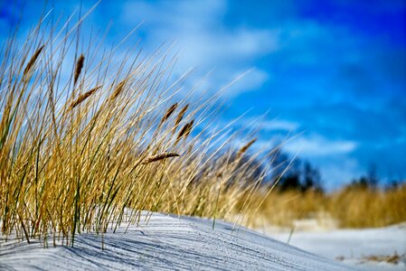 Beach infinite width vacations