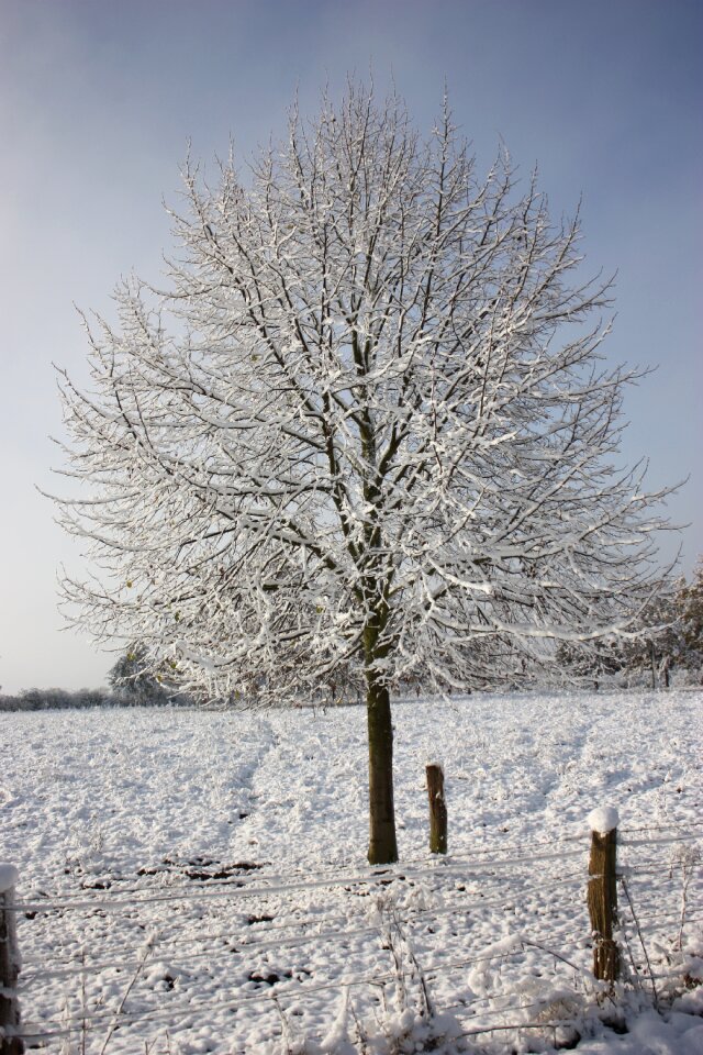 Wintry winter dream snow magic photo