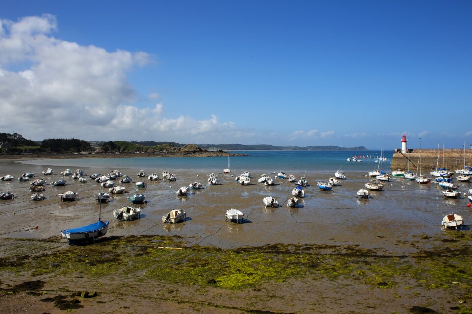 Mole investors sport boats