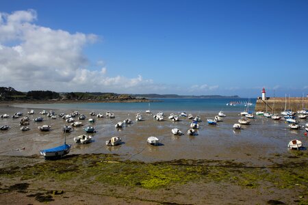 Mole investors sport boats