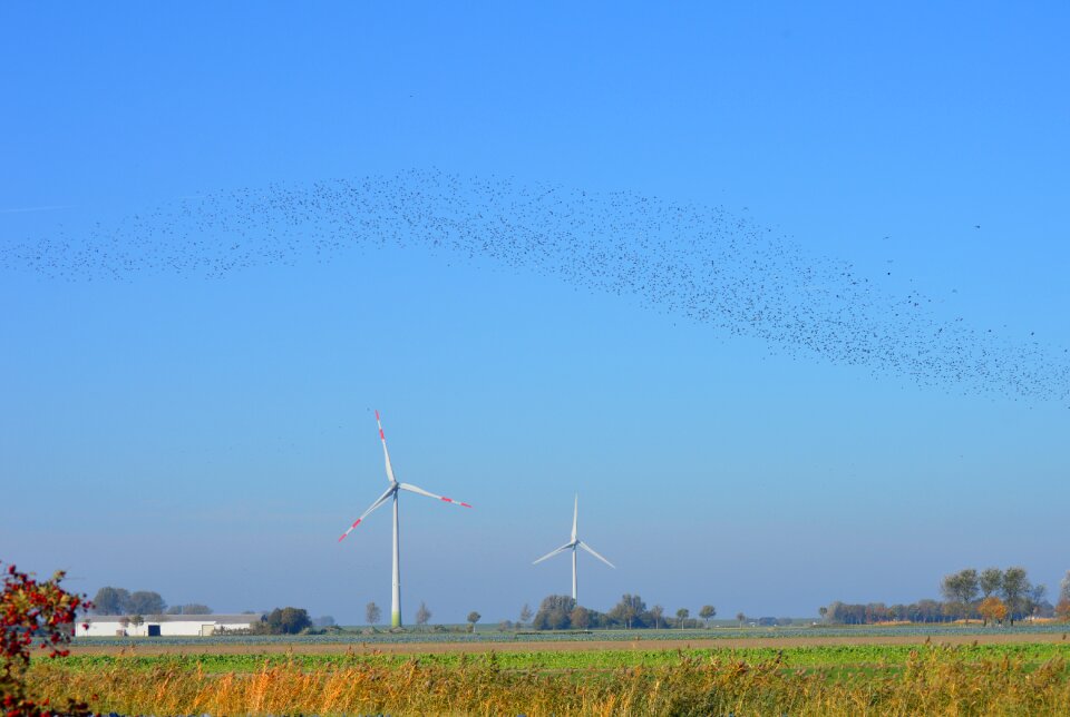 North german landscape dithmarschen windmills