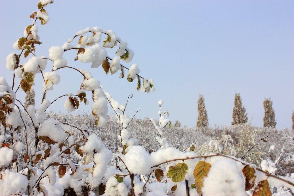 Clear sky sky blue seasons