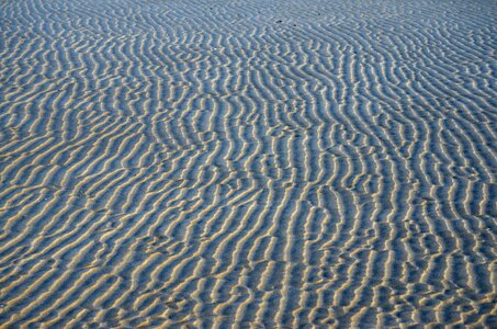 Ripples texture gray sand