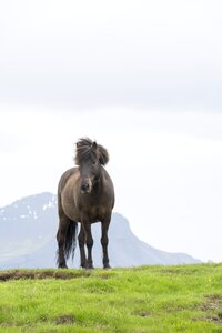 Iceland outdoors wild