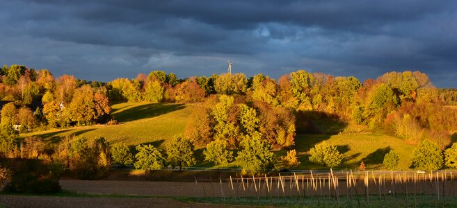 Nature mood autumn photo