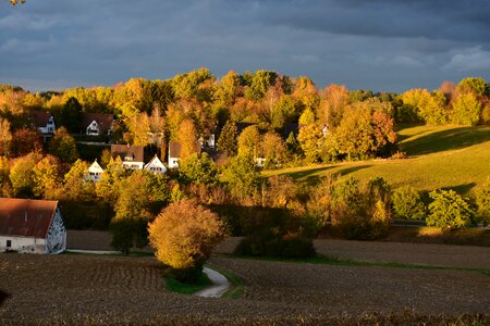 Nature mood autumn photo