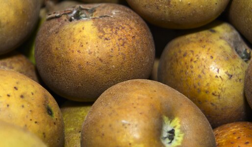 Healthy vitamins fresh