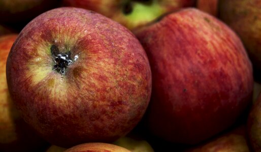 Healthy vitamins fresh