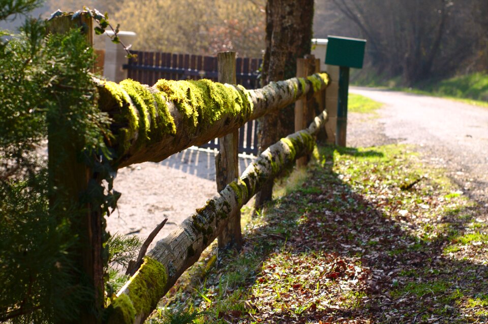 Nature passage entry