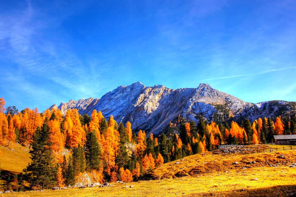 Italy alpine nature
