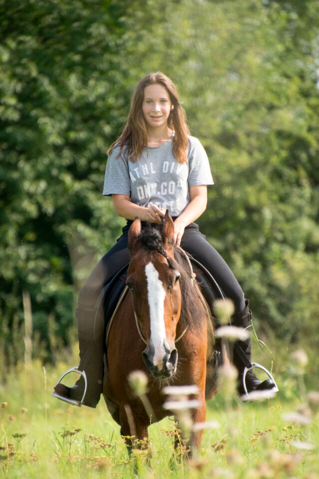 Leisure sitting cavalry
