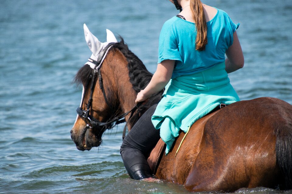 Lake ride without a saddle