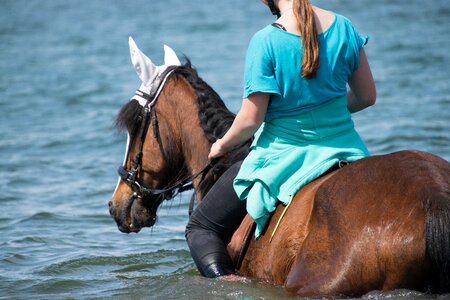 Lake ride without a saddle