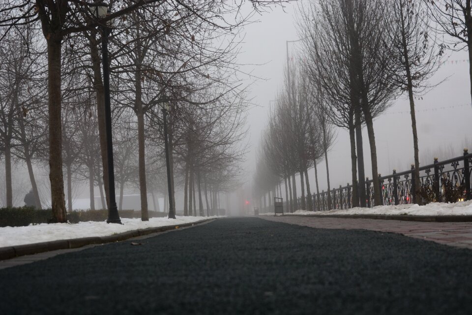 Fog alley autumn