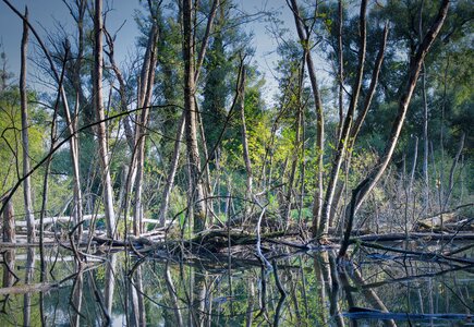 Nature water landscape photo