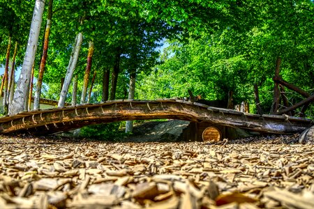 Transition wood chips playground