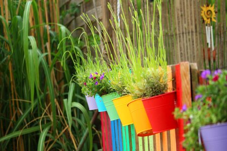 Color nature rainbow colors