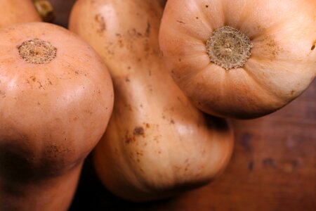 Butternut pumpkin pumpkin chopping photo