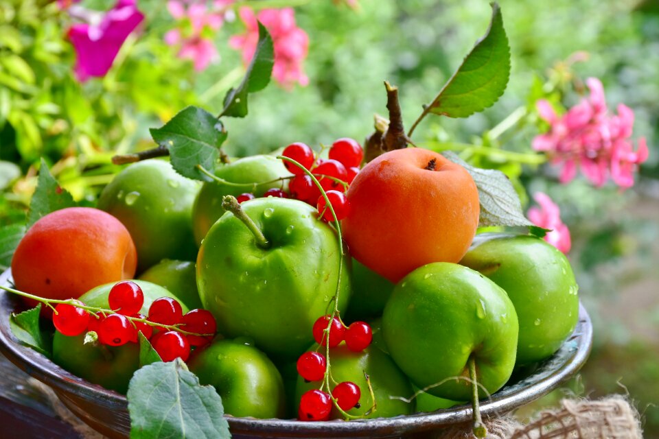 Currants fresh healthy