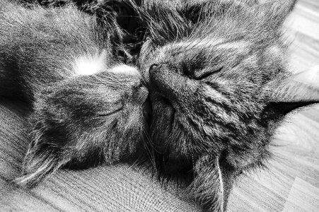 Family happiness bw