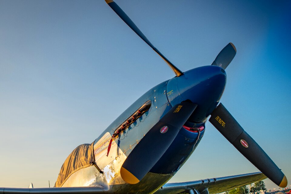 Aviation p-51 plane