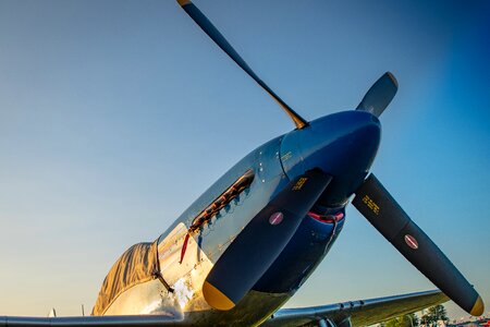 Aviation p-51 plane