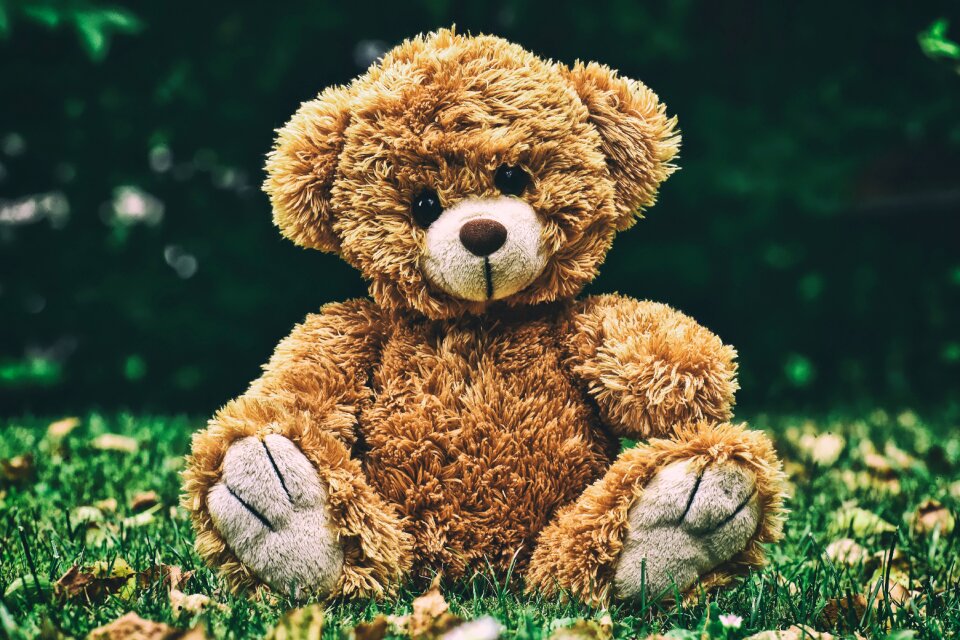 Teddy bear plush stuffed animal