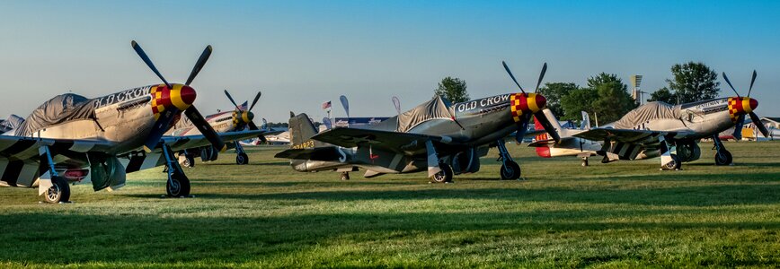 Aviation p-51 plane