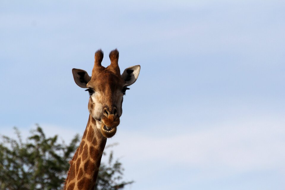 Long jibe south africa wilderness