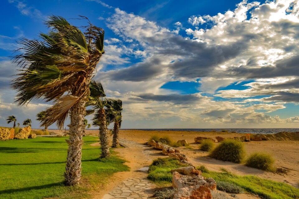 Landscape nature windy