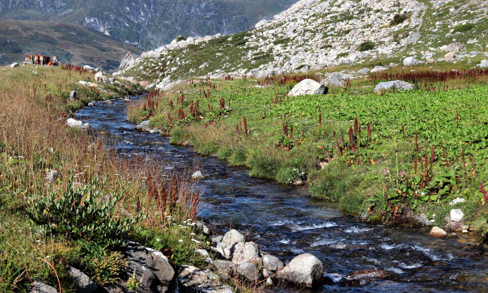 River mountain panorama landscape