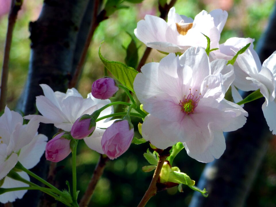 Nature garden fulfillment