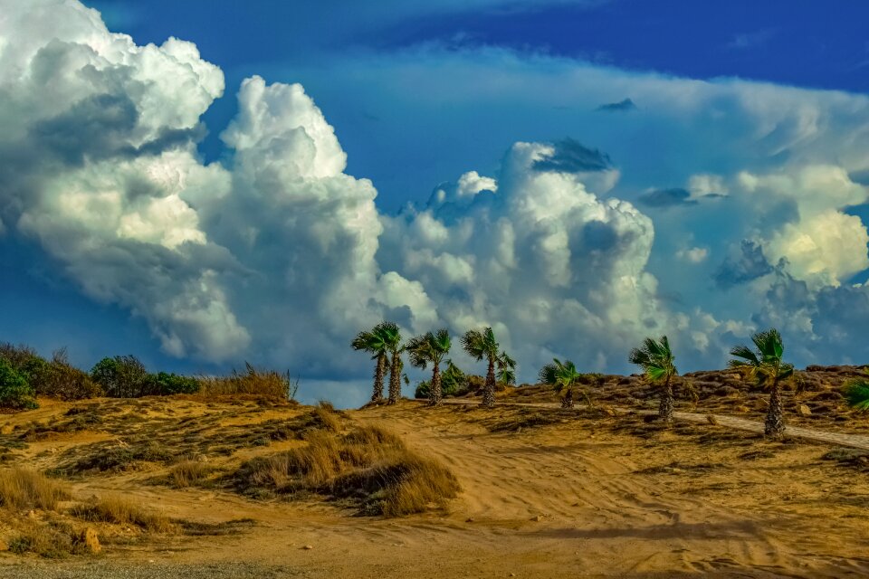 Path nature sky