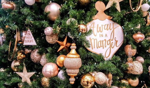Tree away in a manger gold
