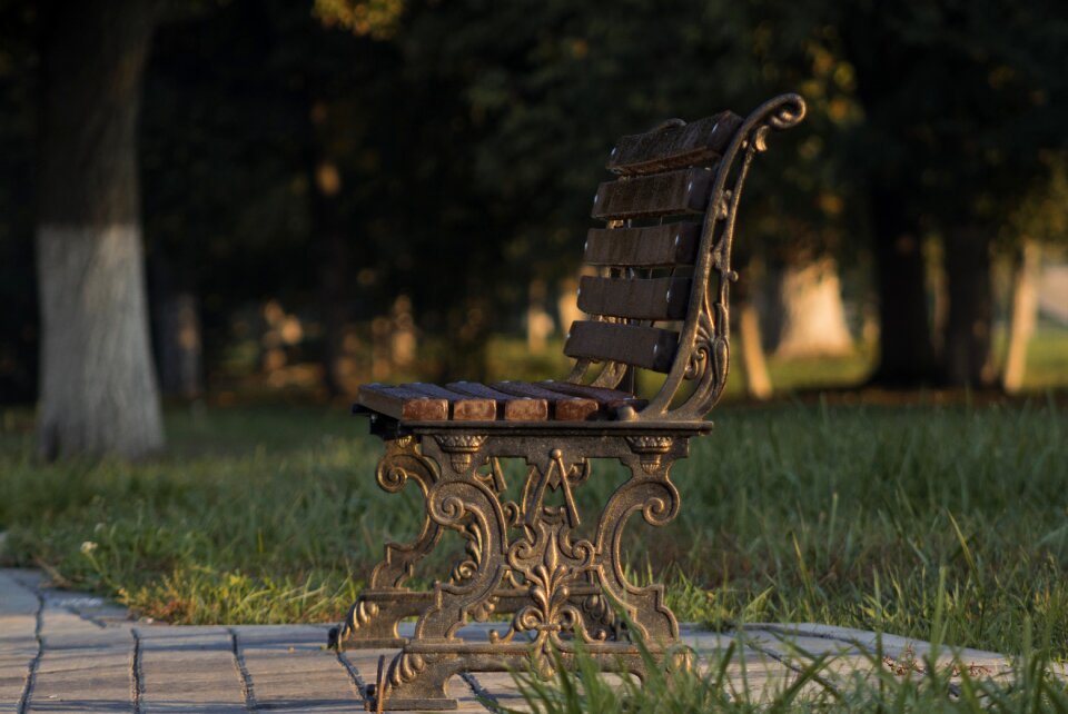 Warm light autumn vacation
