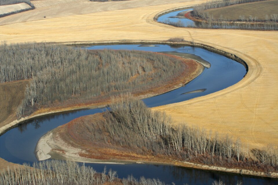 River trees country