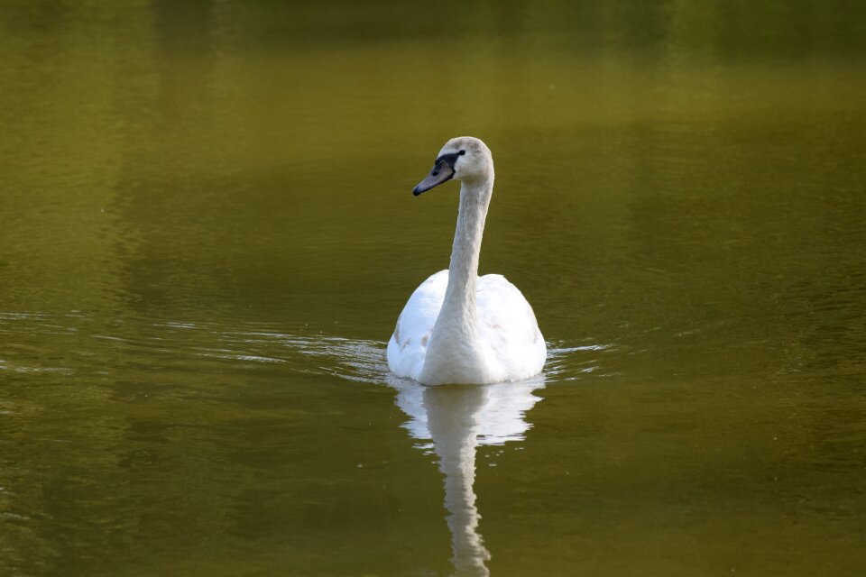 Nature lake water