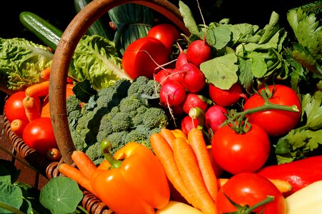 Food vitamins vegan