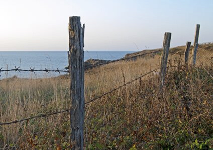 Post weathered sea