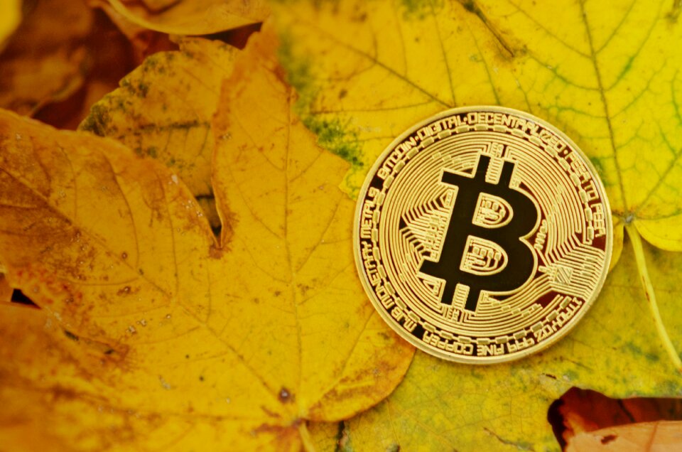 Virtual digital financial