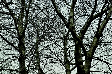 Season nature scenery