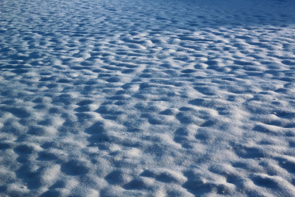 Fresh snowfall nature