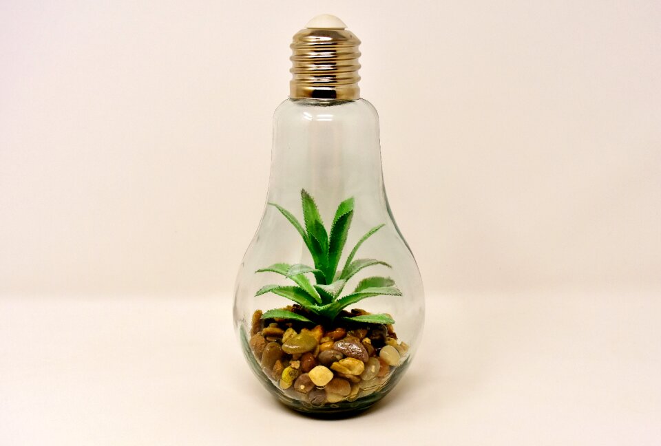 Arrangement lamp decoration
